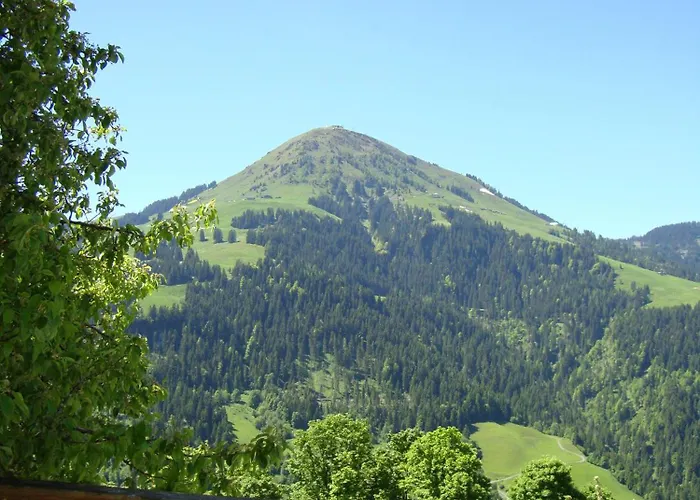 Alpengasthof Gruberhof Vendégház